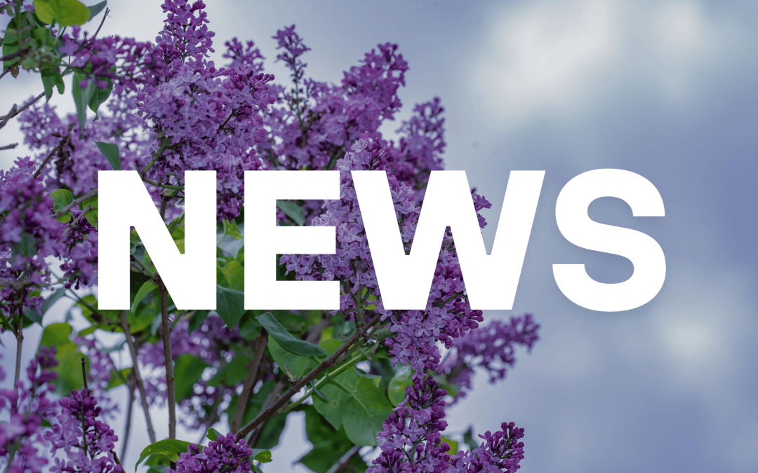 Bridget O’Callahan Named Executive Director